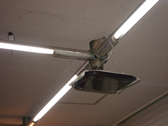 つばめ2 006.JPG
